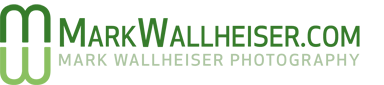 Mark Wallheiser logo